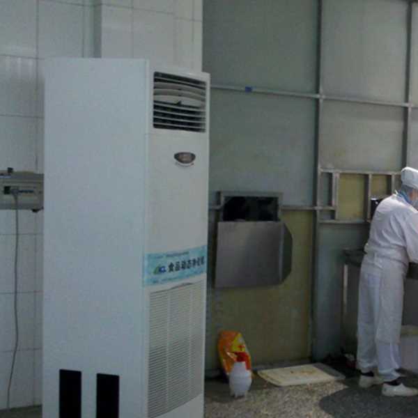 烟台食品正负离子空气杀菌器